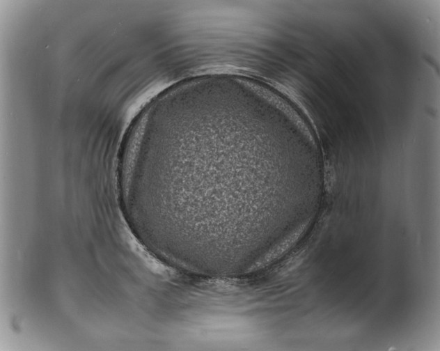 X0000100980995200807081239