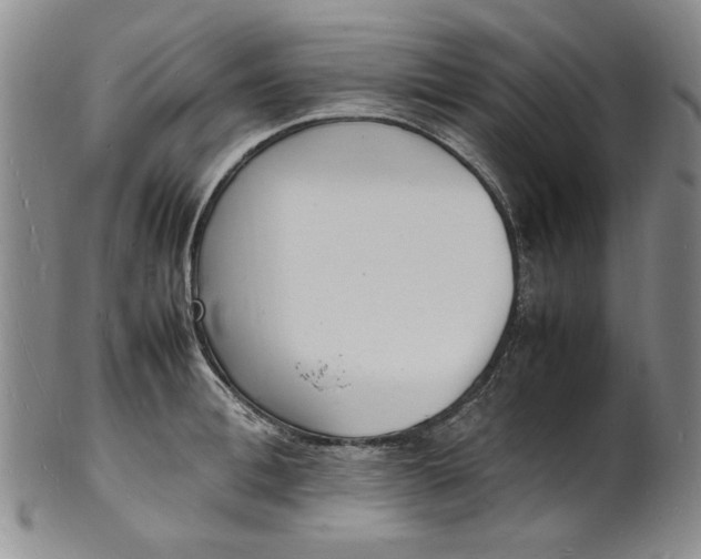 X0000100980996200807081239