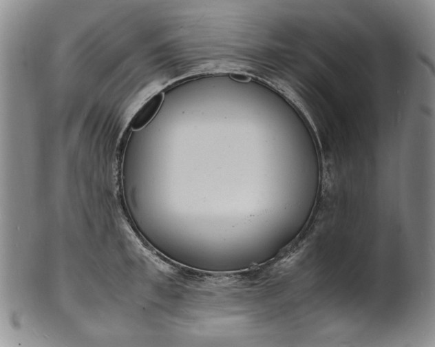 X0000100980997200807081239