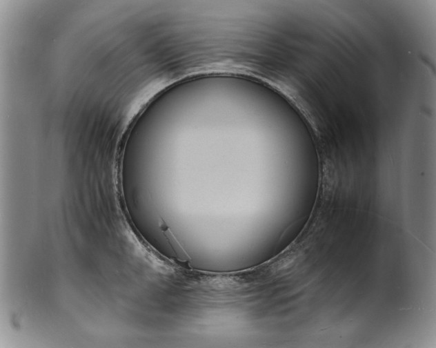 X0000100980998200807081239