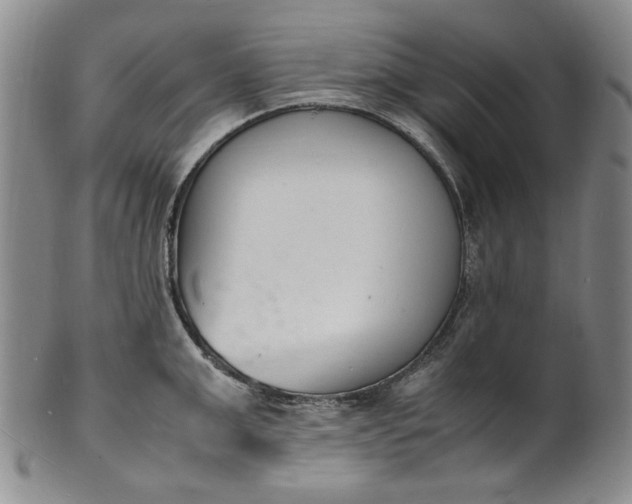 X0000100980999200807081239