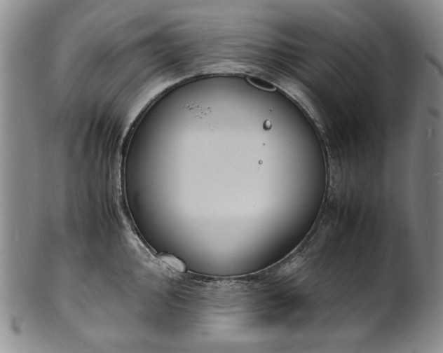 X0000100981000200807081239