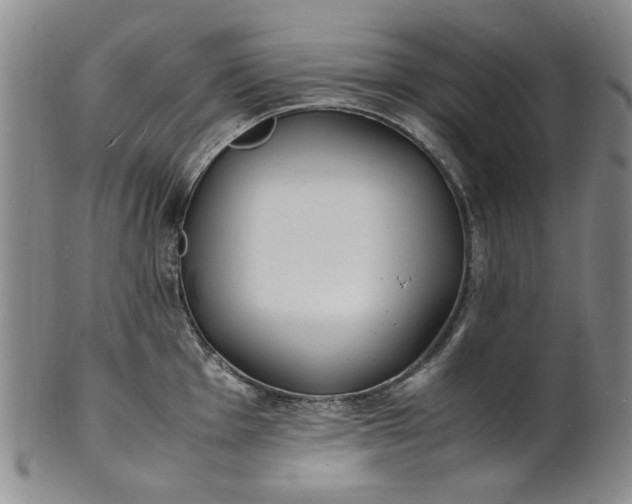 X0000100981001200807081239