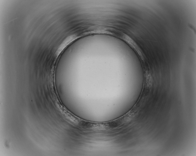 X0000100981002200807081239