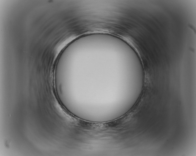 X0000100981003200807081239