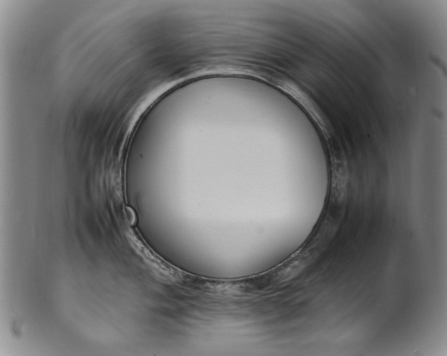 X0000100981004200807081239