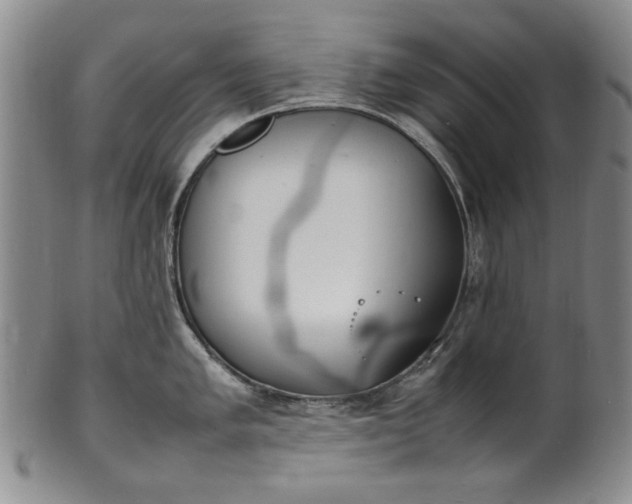 X0000100981005200807081239