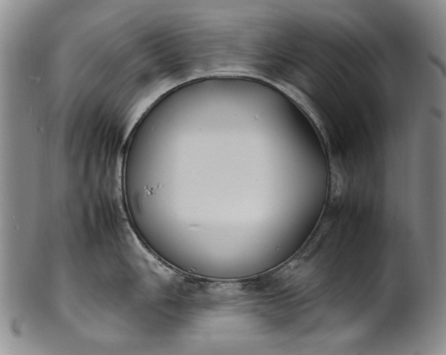 X0000100981006200807081239