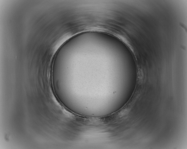 X0000100981007200807081239