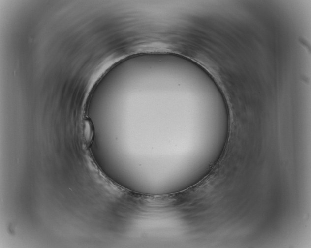 X0000100981008200807081239