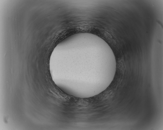 X0000100981009200807081238