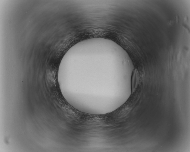 X0000100981010200807081238