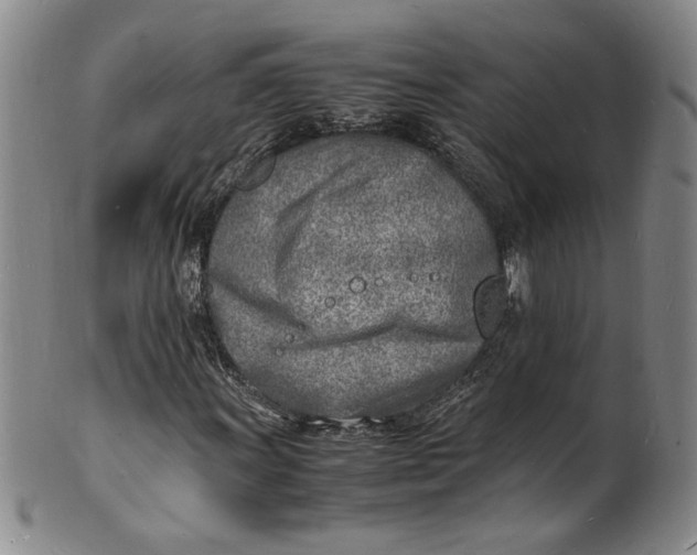 X0000100981011200807081238