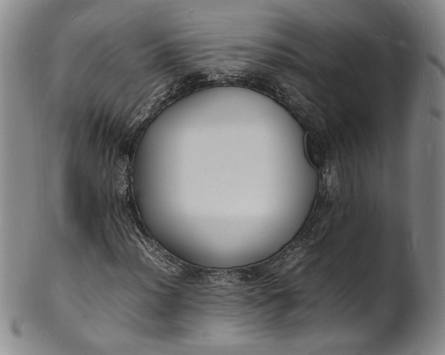 X0000100981012200807081238