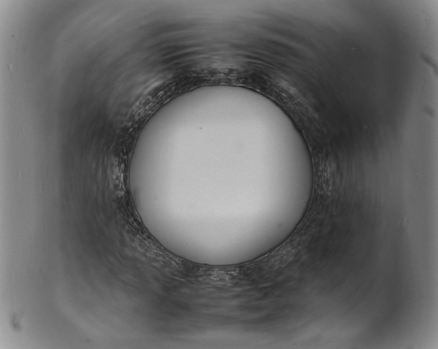 X0000100981013200807081238