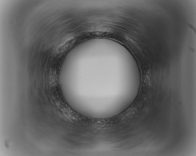 X0000100981014200807081238