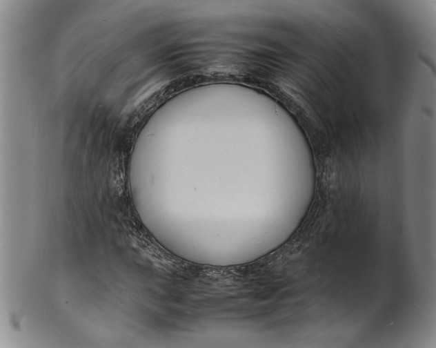 X0000100981015200807081238