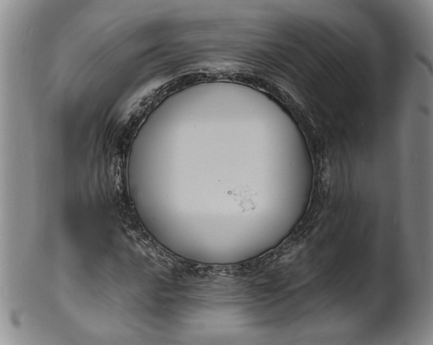 X0000100981016200807081238