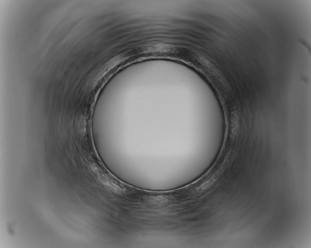 X0000100981017200807081238