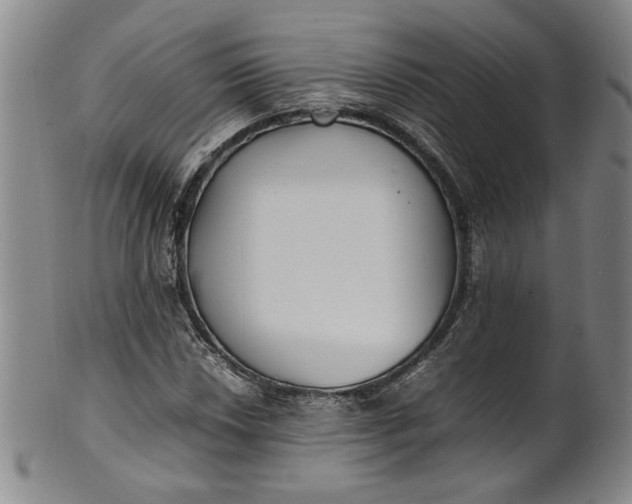 X0000100981018200807081238