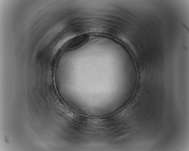 X0000100981019200807081238