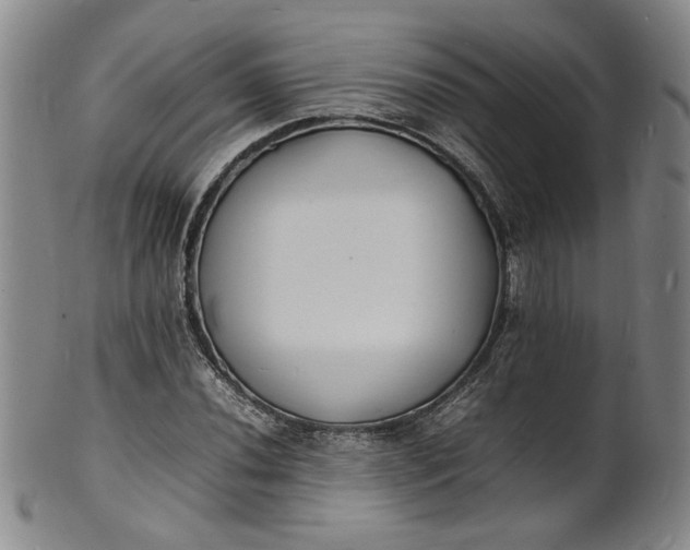 X0000100981020200807081238