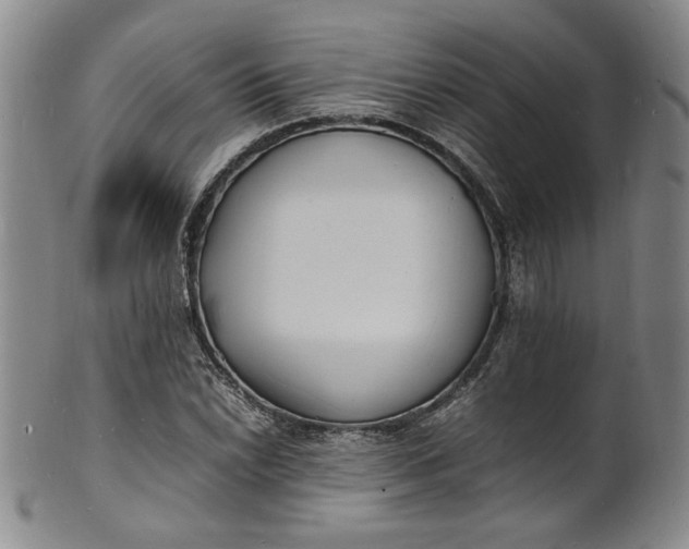 X0000100981022200807081238