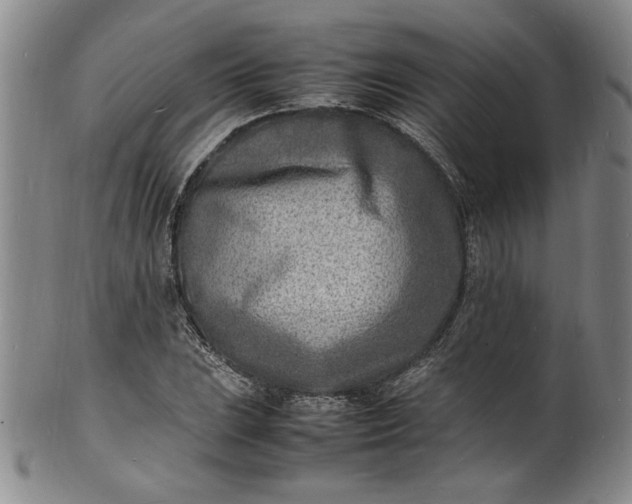 X0000100981023200807081238