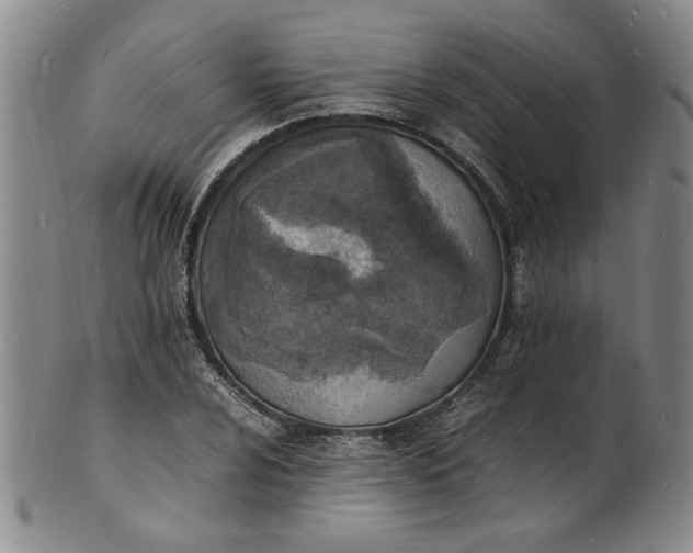 X0000100981024200807081238