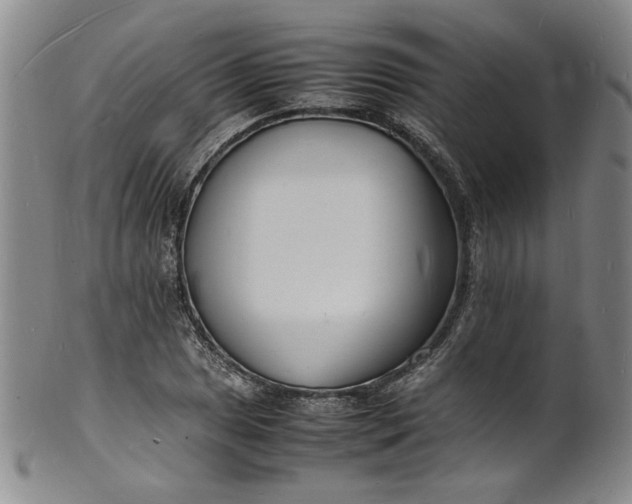 X0000100981025200807081238