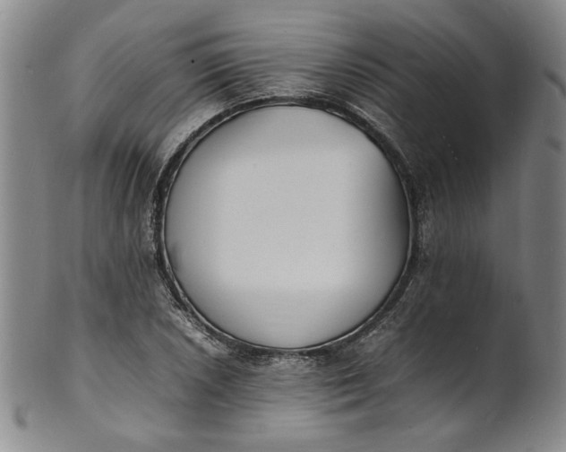 X0000100981026200807081238