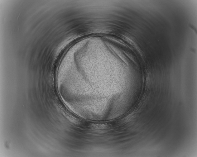 X0000100981027200807081238