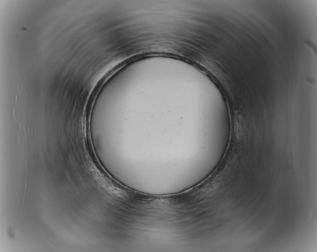 X0000100981028200807081238