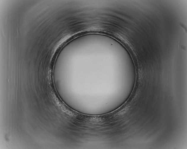 X0000100981029200807081238