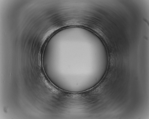 X0000100981030200807081238