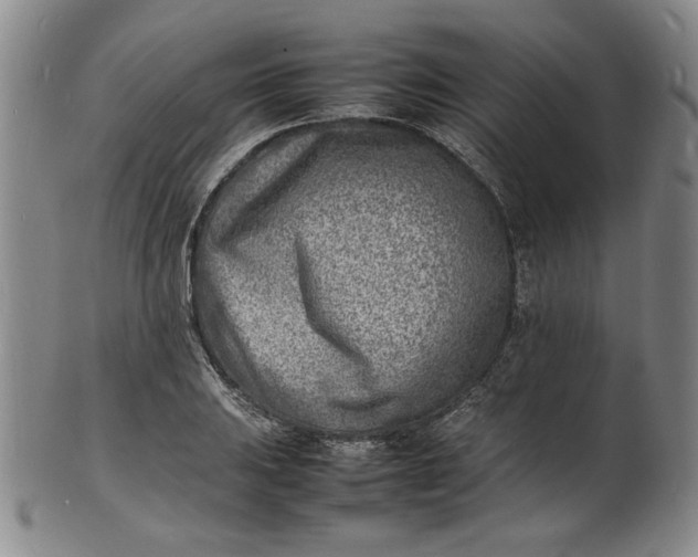 X0000100981031200807081238