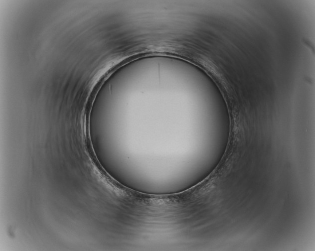 X0000100981032200807081238