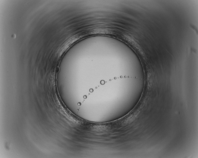 X0000100981033200807081238