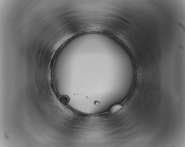 X0000100981034200807081239