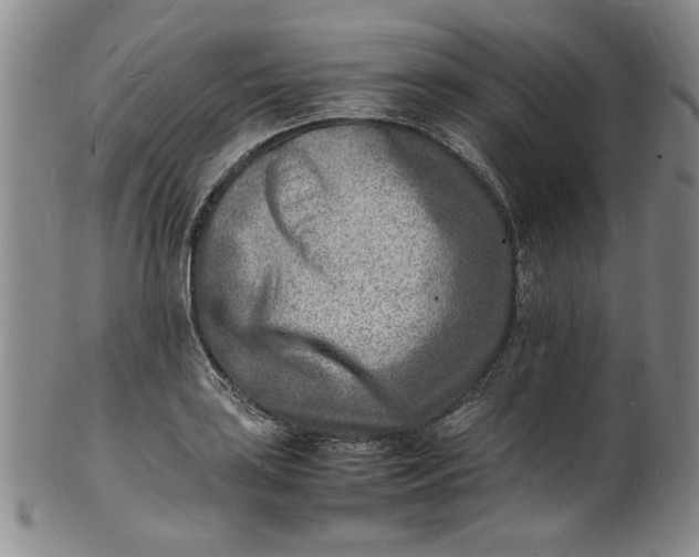 X0000100981035200807081239