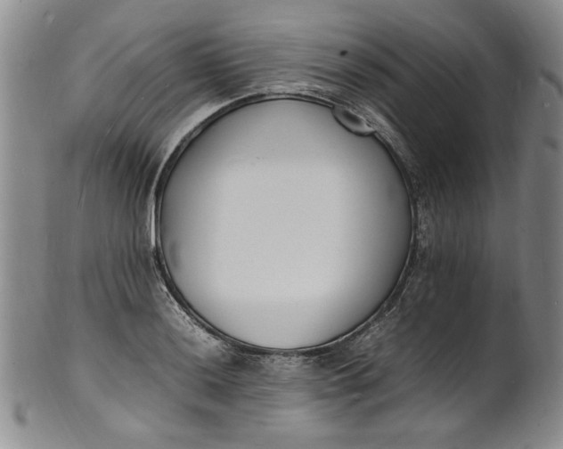 X0000100981036200807081239