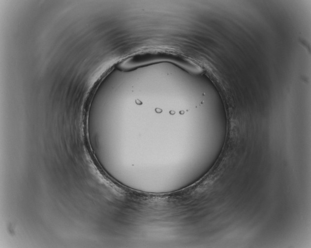 X0000100981038200807081239