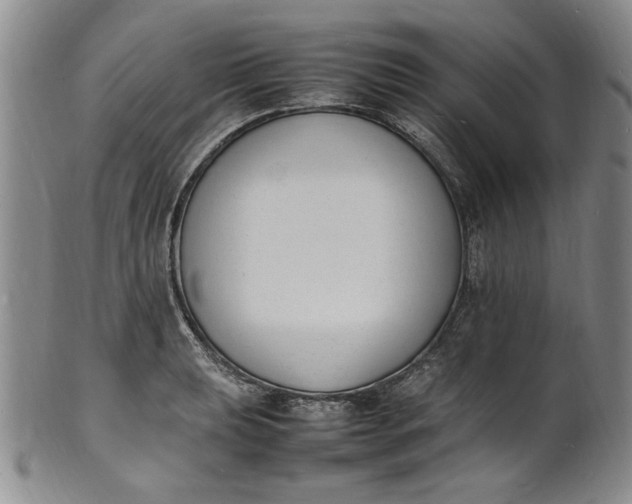 X0000100981039200807081239