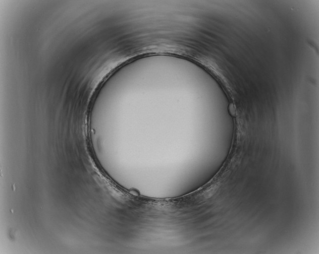 X0000100981040200807081239