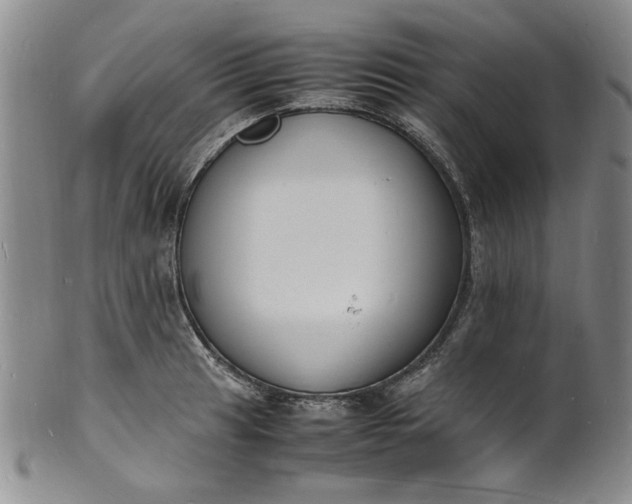 X0000100981041200807081239