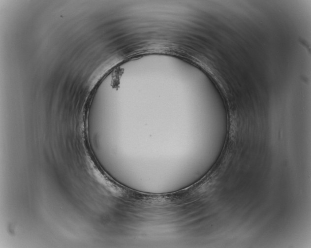 X0000100981042200807081239