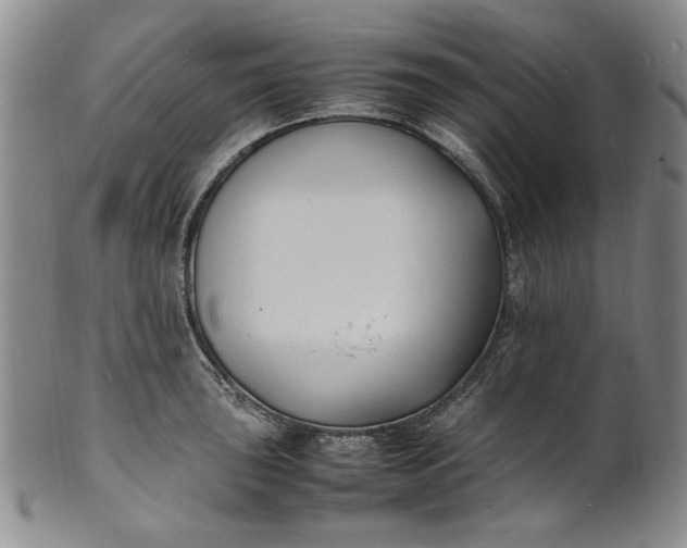 X0000100981043200807081239