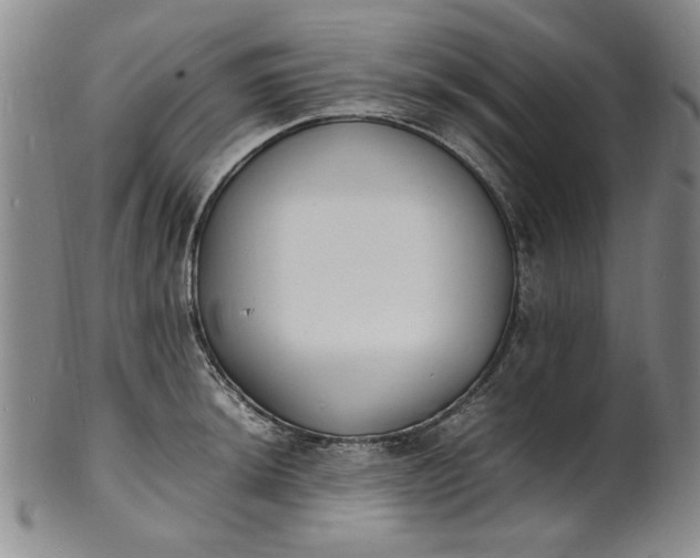 X0000100981044200807081239