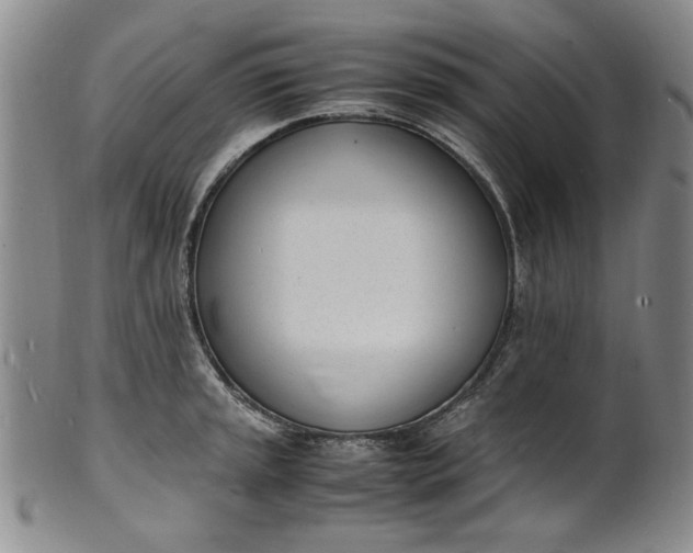 X0000100981045200807081239