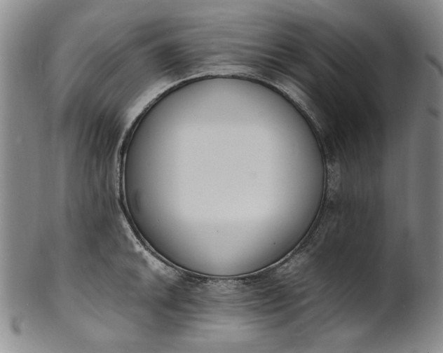 X0000100981046200807081239